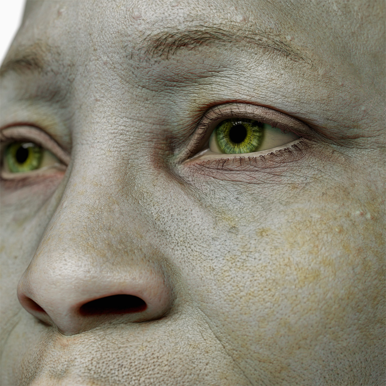 Download our high res 3d face models